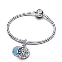 Charm Pandora Donna in Argento Zirconia 793599C01 - 793599C01